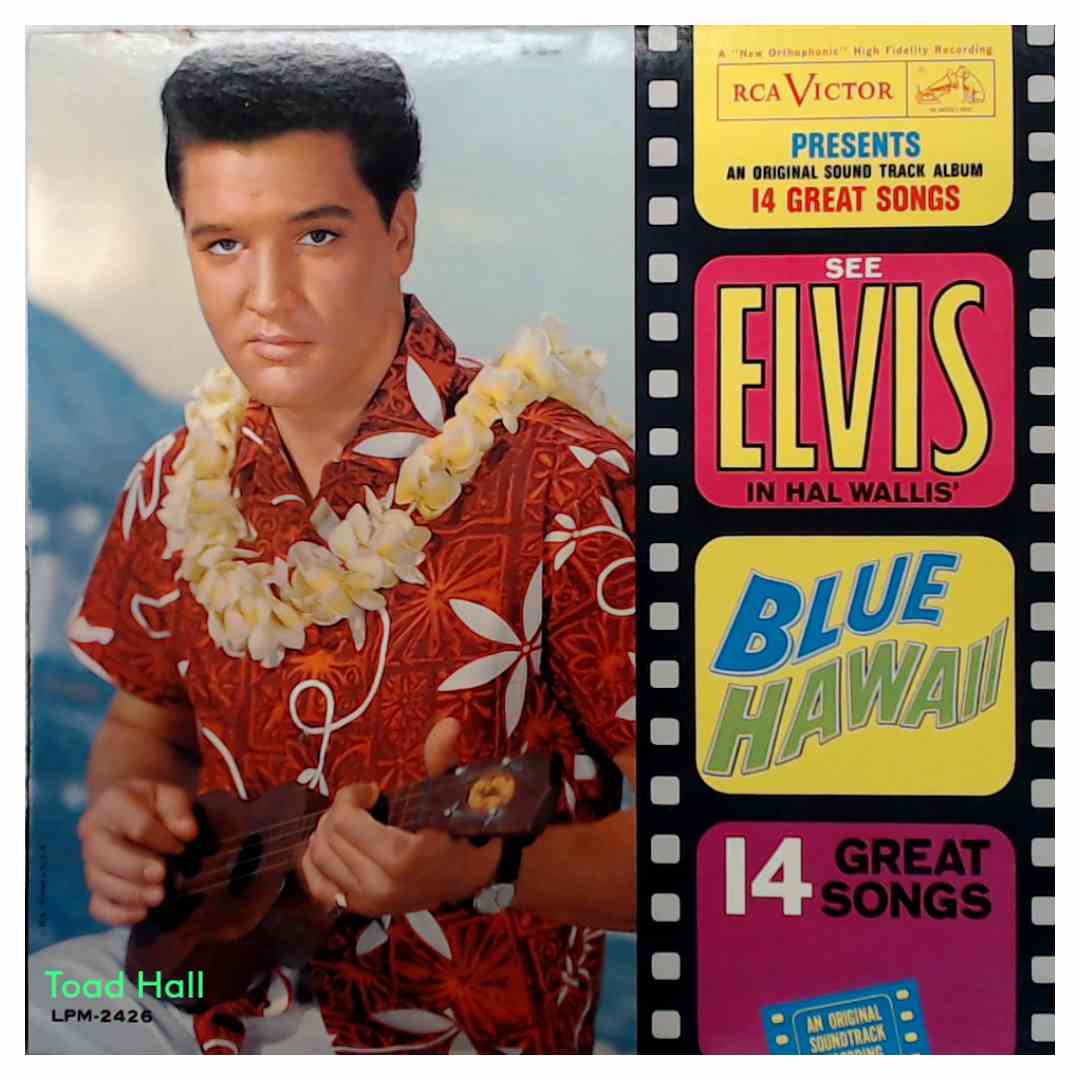 Elvis Presley Blue Hawaii Used Vinyl LP