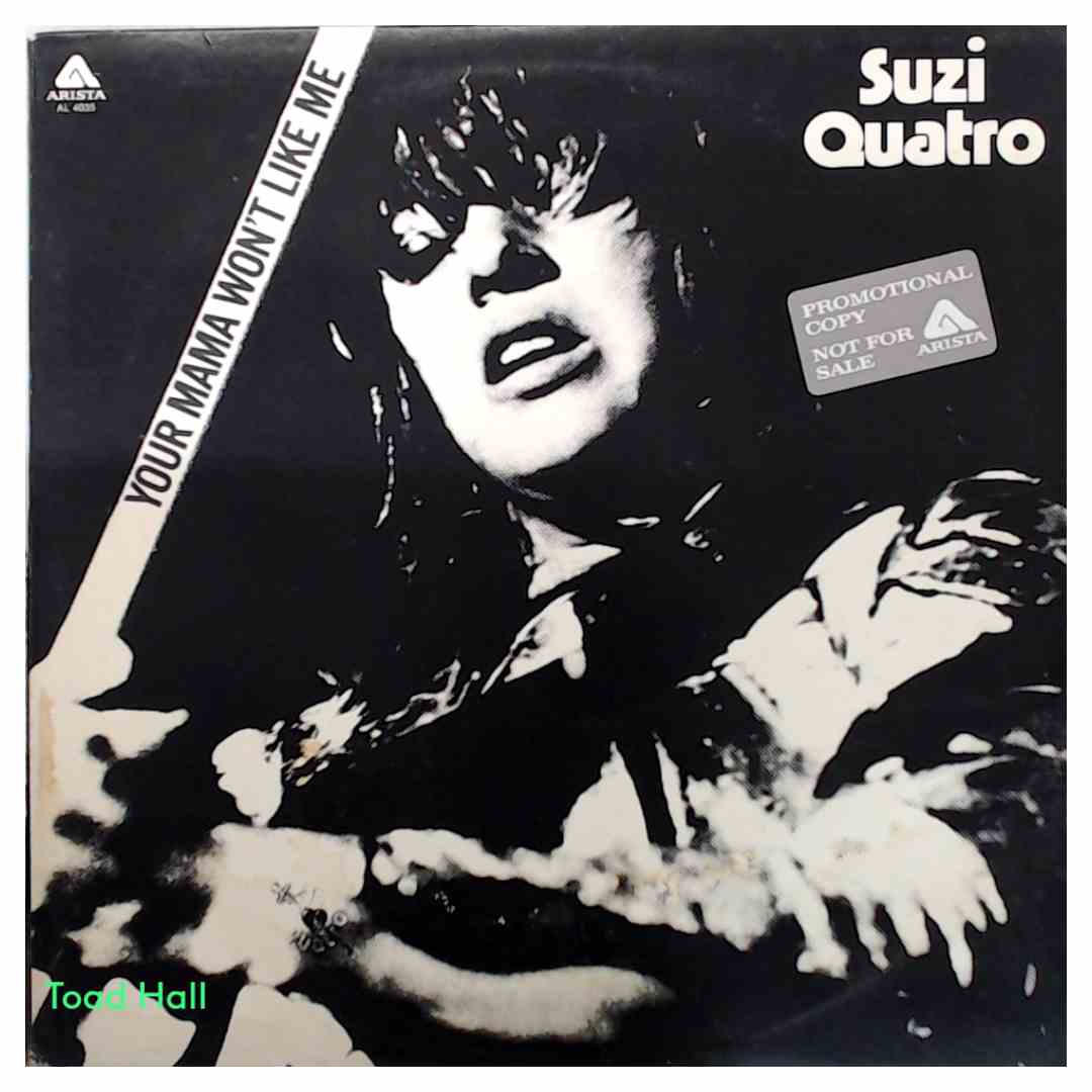 Suzi Quatro - Your Mama Won't Like Me (Promo) - Used Vinyl