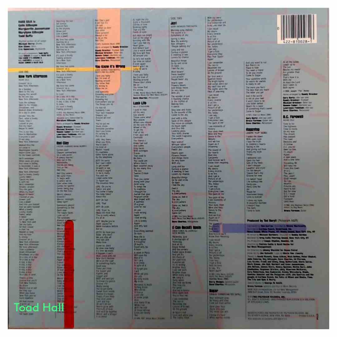 Rare SIlk - New Weave - Used Vinyl