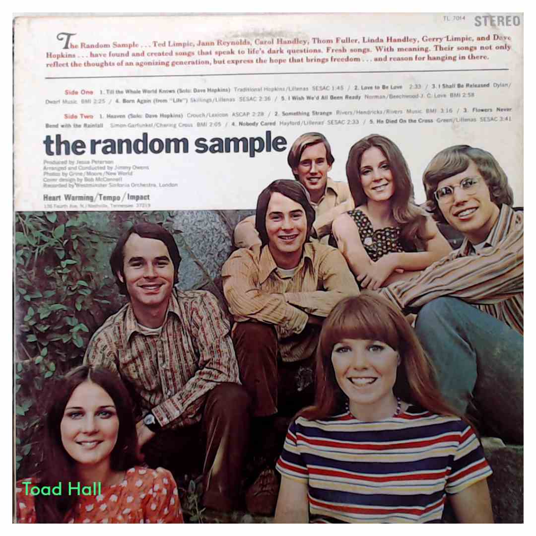 The Random Sample - The Random Sample - Used Vinyl