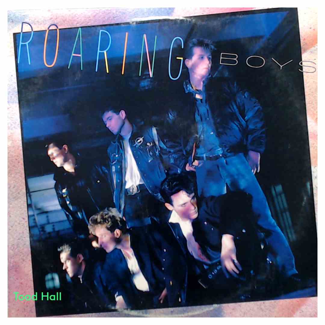 Roaring Boys - Roaring Boys (Promo Cover) - Used Vinyl