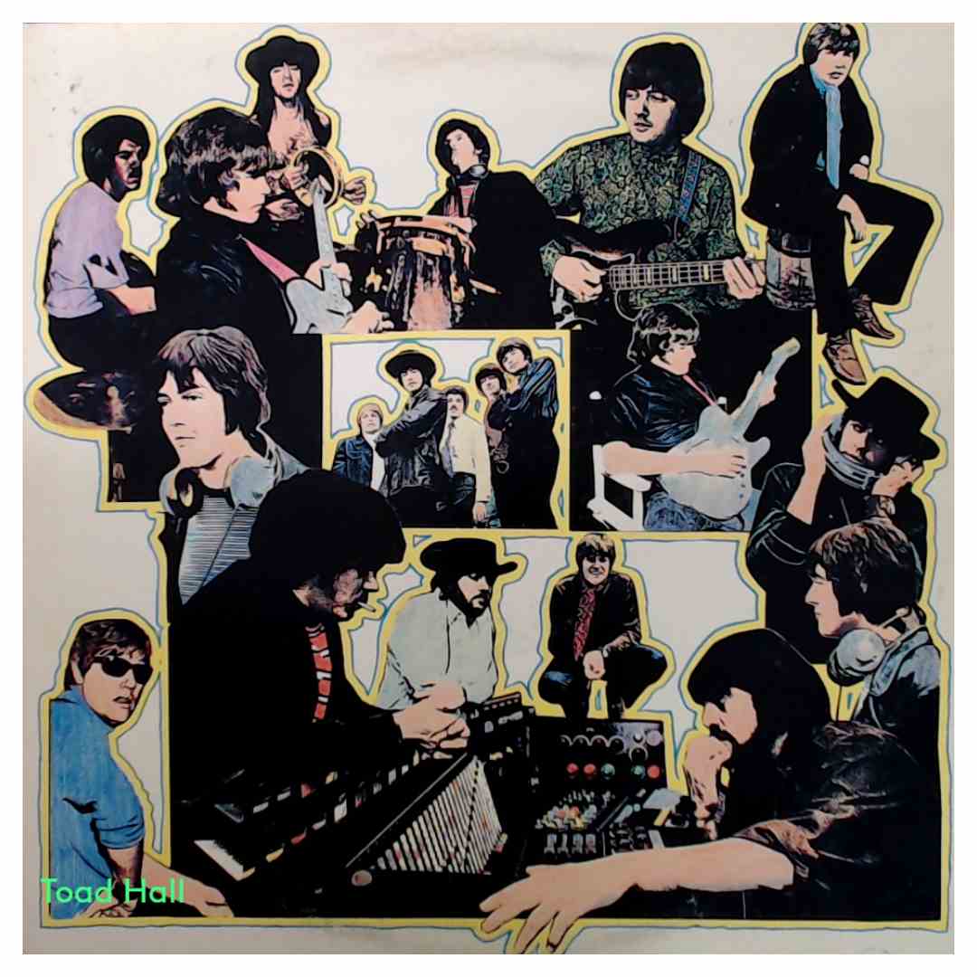 Paul Revere & The Raiders - Collage - Used Vinyl