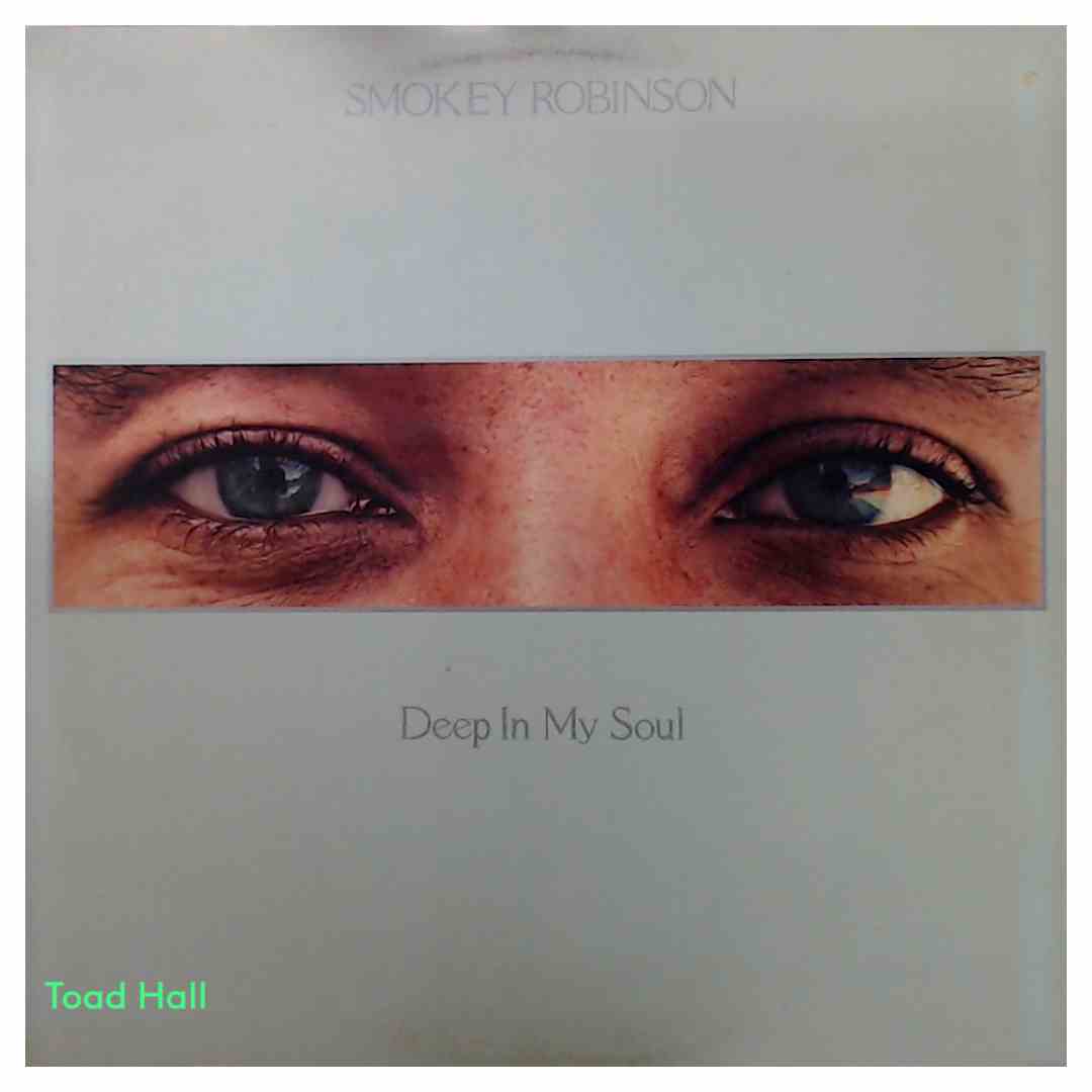 Smokey Robinson - Deep In My Soul - Used Vinyl