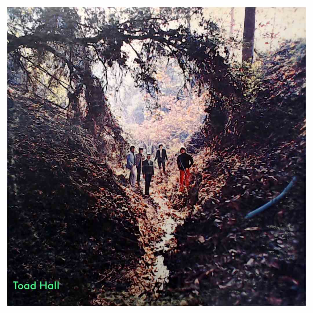 Rolling Stones Big Hits (High Tide & Green Grass) Used VinylLP