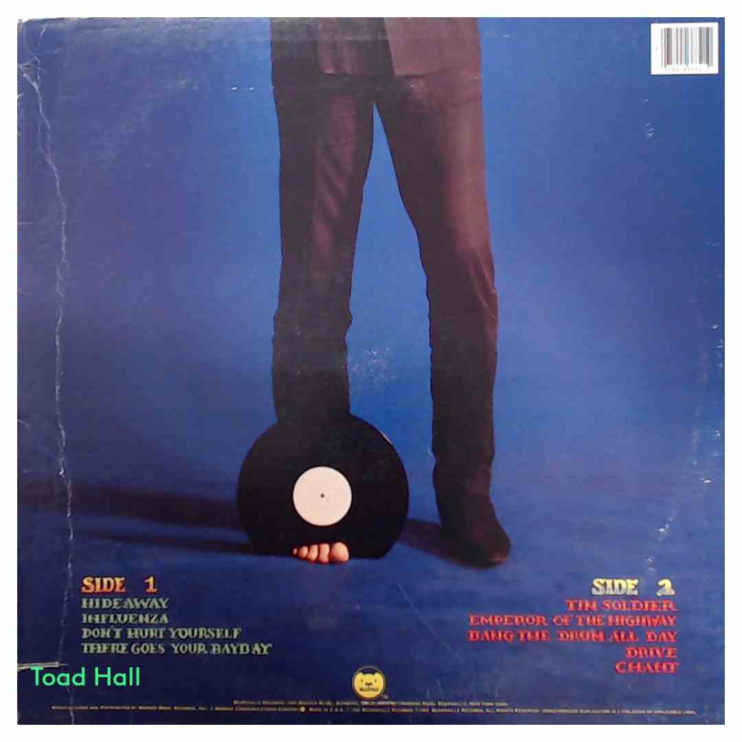 Todd Rundgren - The Ever Popular Tortured Artist Effect - Used Vinyl