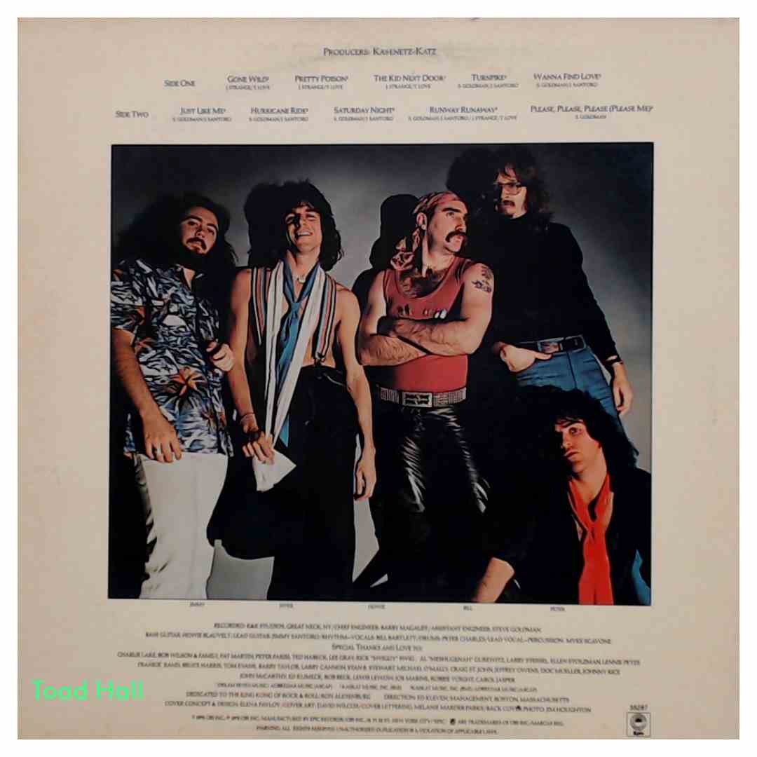 Ram Jam - Portrait of the Artist as a Young Man - Used Vinyl