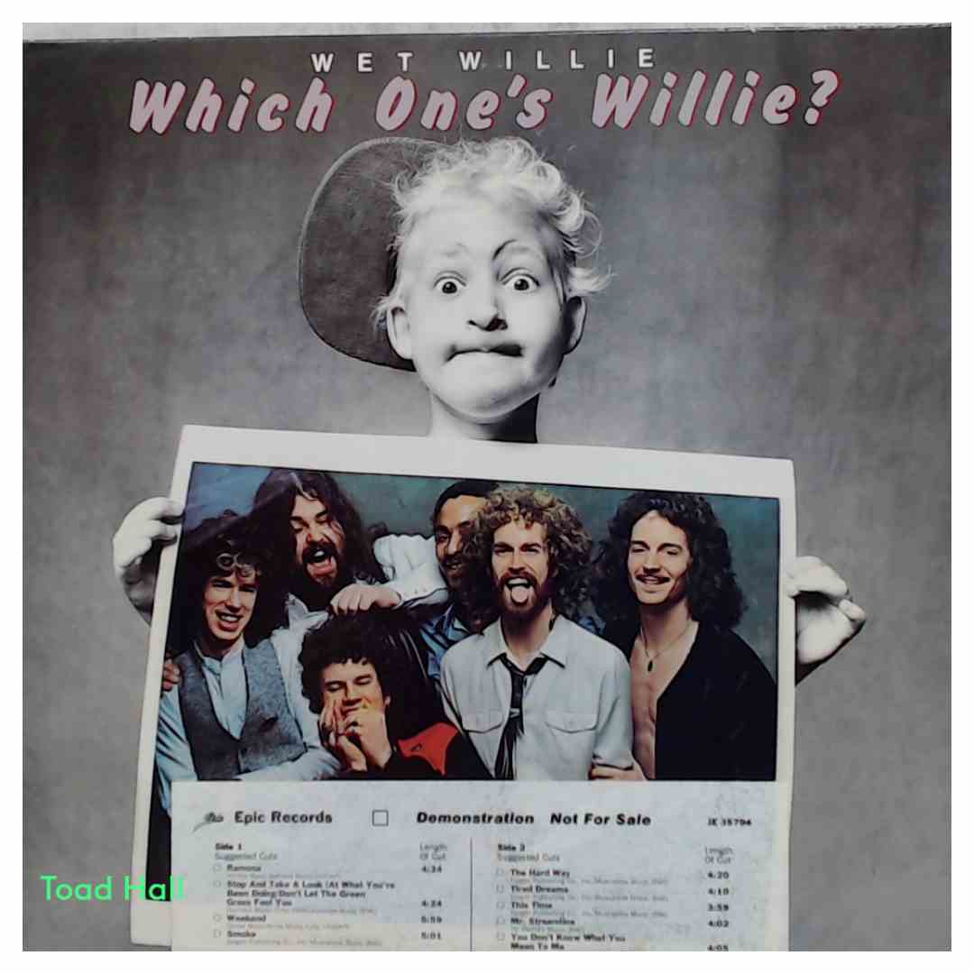 Wet Willie Which One's Willie? (Promo) Used Vinyl LP