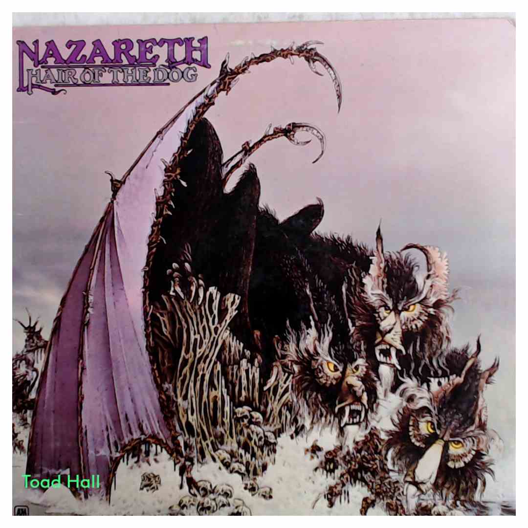 Nazareth Hair Of The Dog Used Vinyl LP