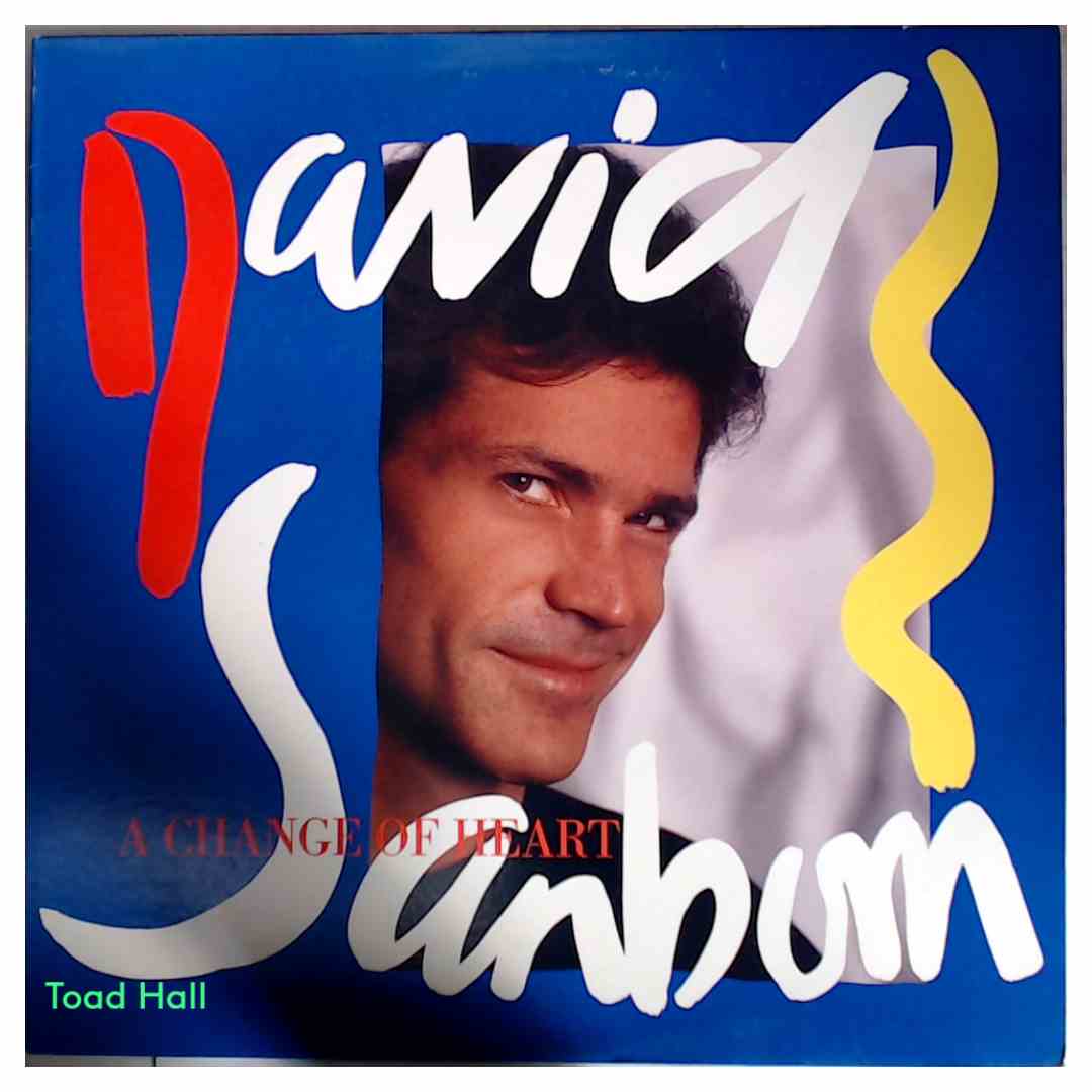 David Sanborn - A Change Of Heart - Used Vinyl