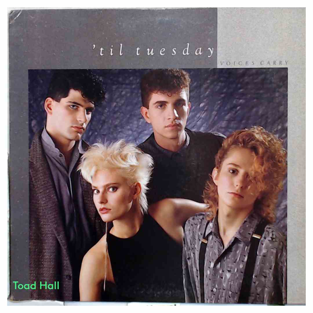 TIL TUESDAY Voices Carry Used Vinyl LP