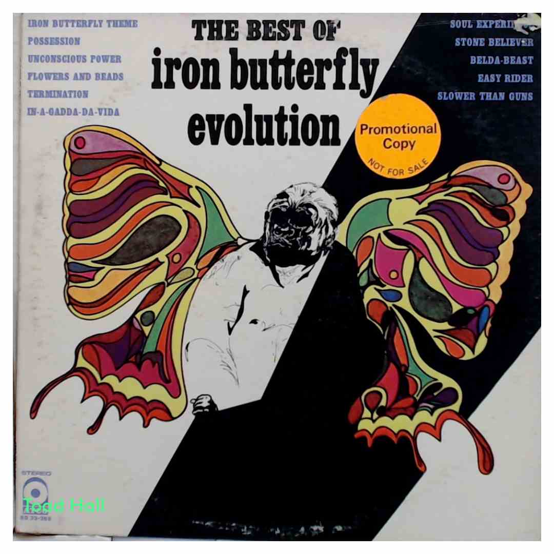 Iron Butterfly - Evolution: The Best of Iron Butterfly (Promo) - Used Vinyl
