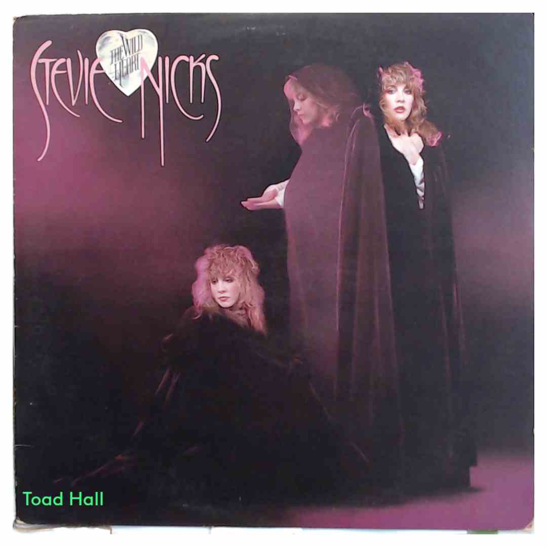 Stevie Nicks - The Wild Heart - Used Vinyl