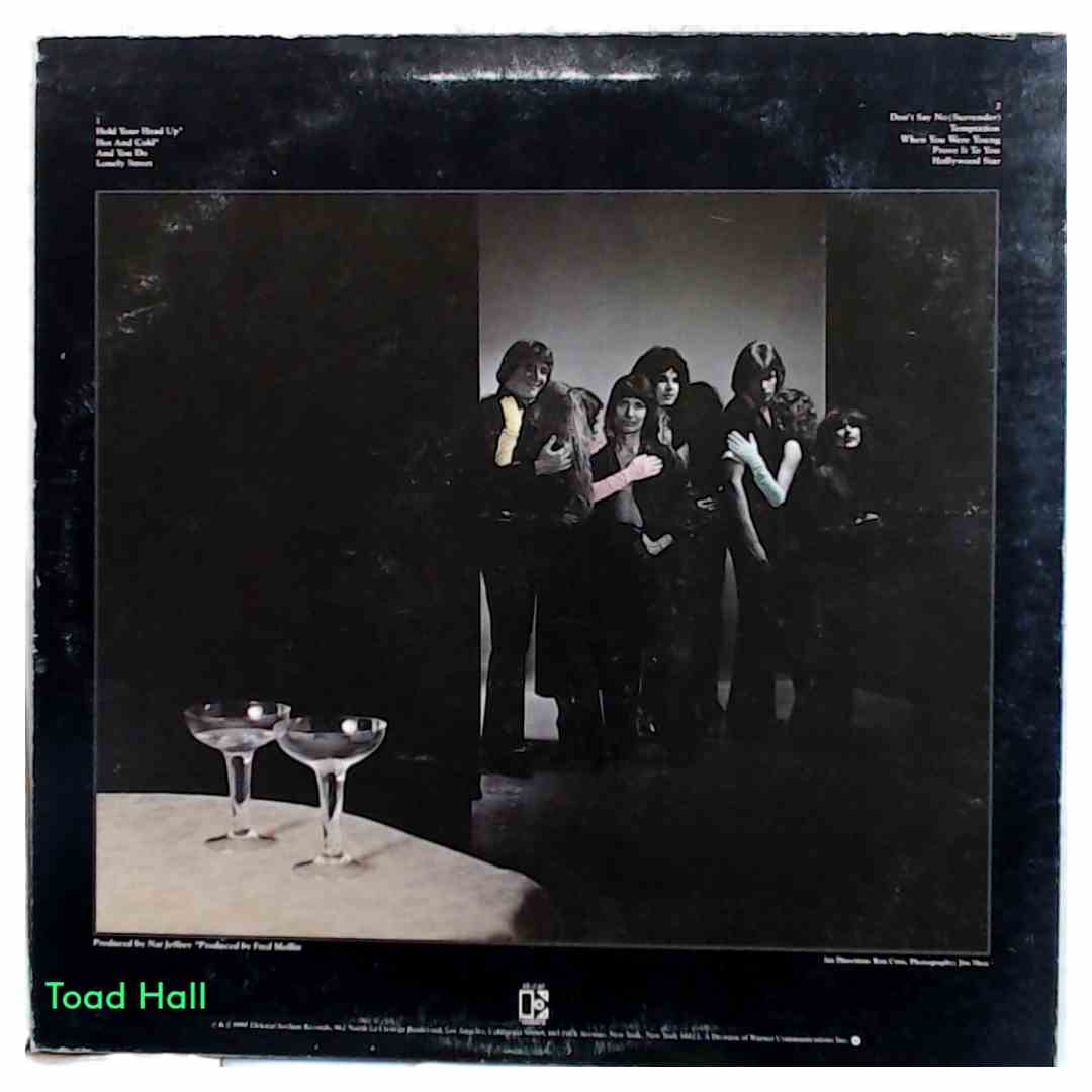 Marc Tanner Band Temptation (Promo) Used Vinyl LP