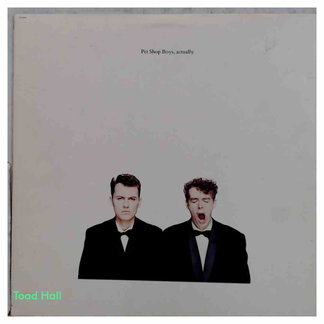 Pet Shop Boys - Pet Shop Boys, Actually - Used Vinyl