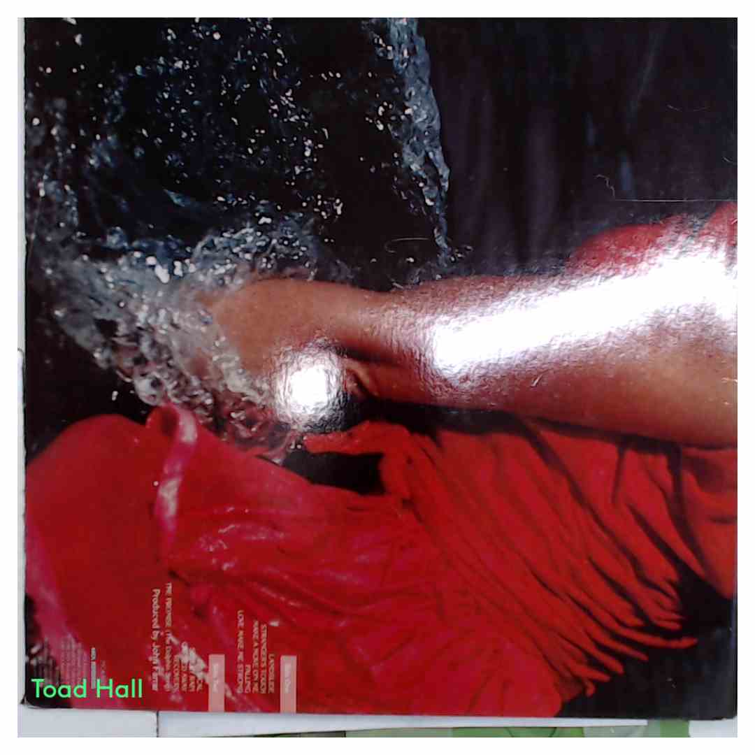 Olivia Newton-John - Physical (Promo Cover) - Used Vinyl