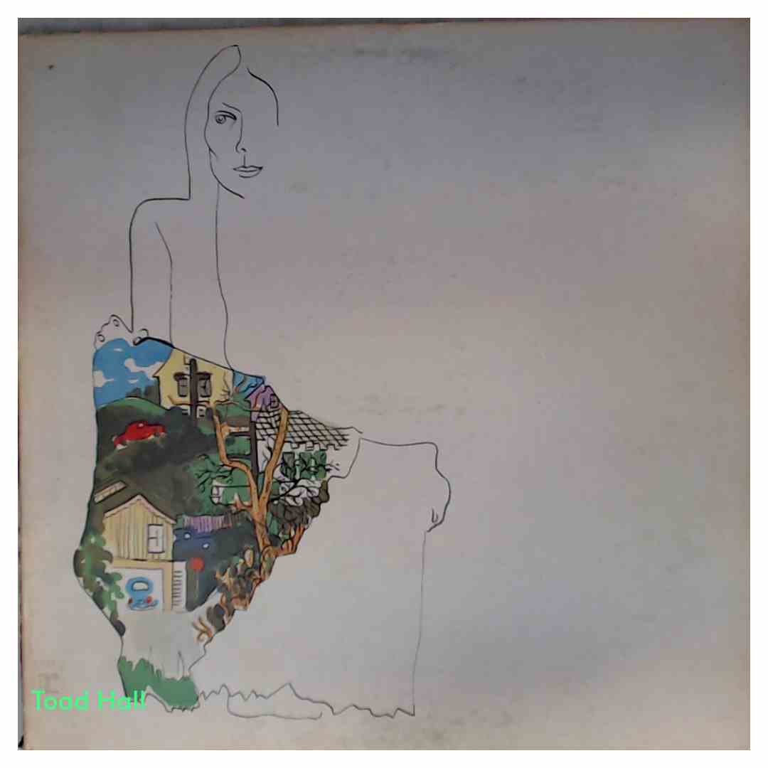 Joni Mitchell - Ladies of the Canyon - Used Vinyl