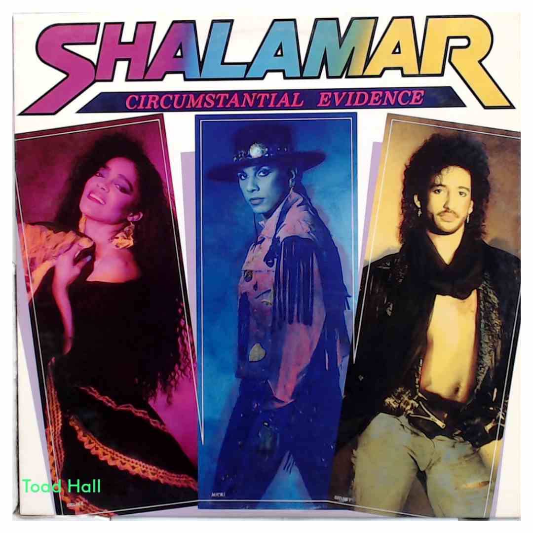 Shalamar - Circumstantial Evidence - Used Vinyl