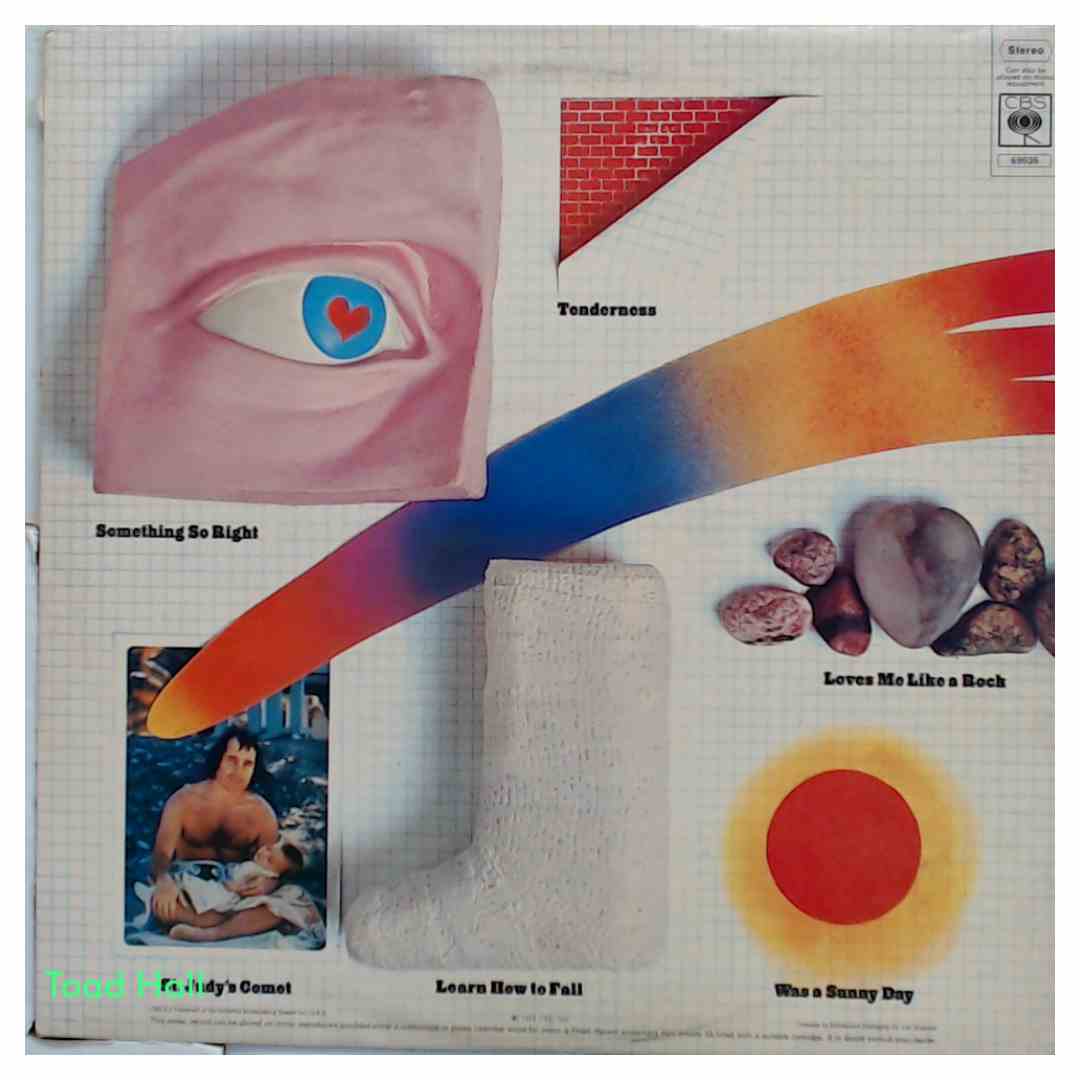 Paul Simon There Goes Rhymin' Simon Used Vinyl LP