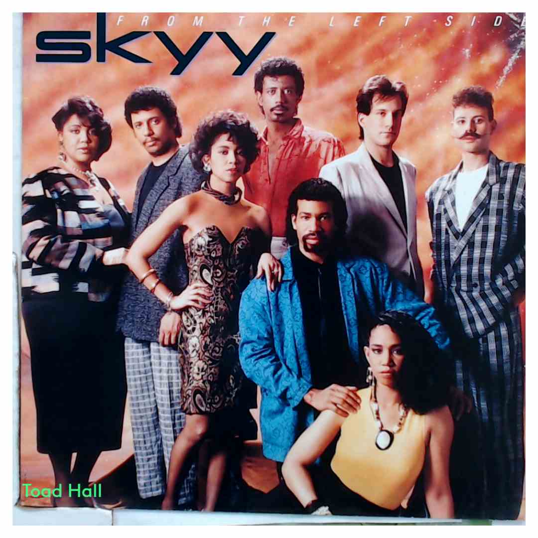 Skyy - From The Left Side (import) - Used Vinyl