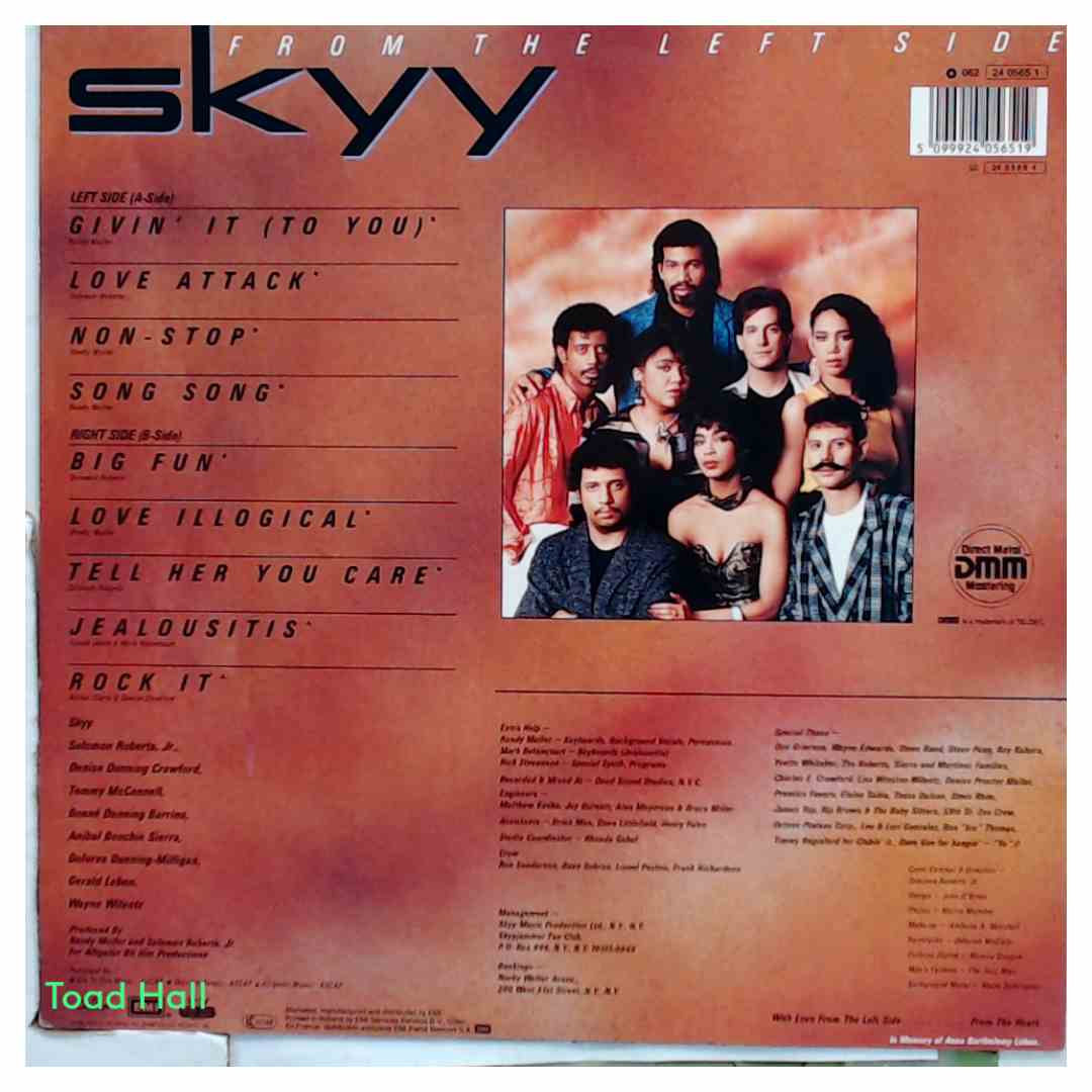 Skyy - From The Left Side (import) - Used Vinyl