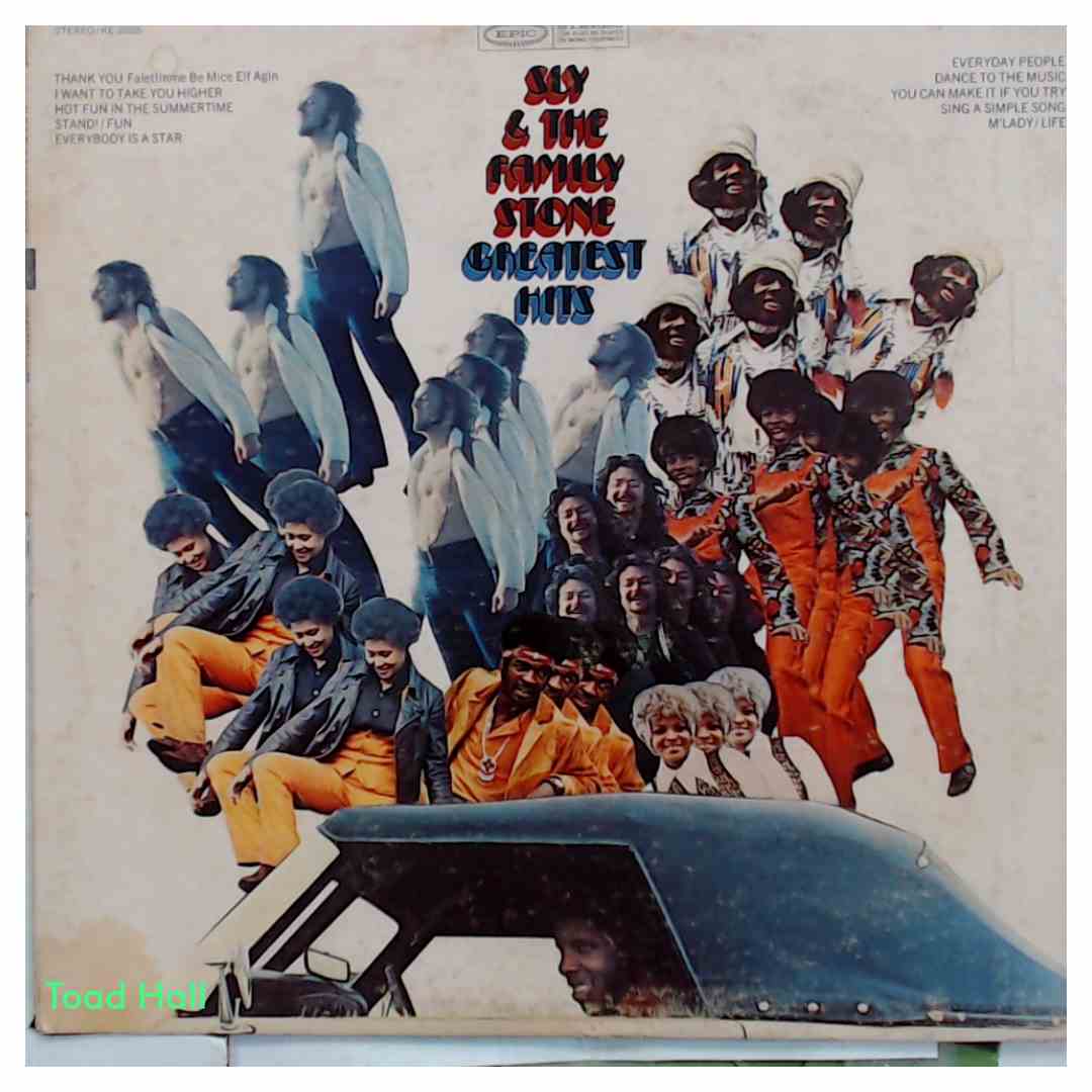 Sly & The Family Stone Greatest Hits Used Vinyl