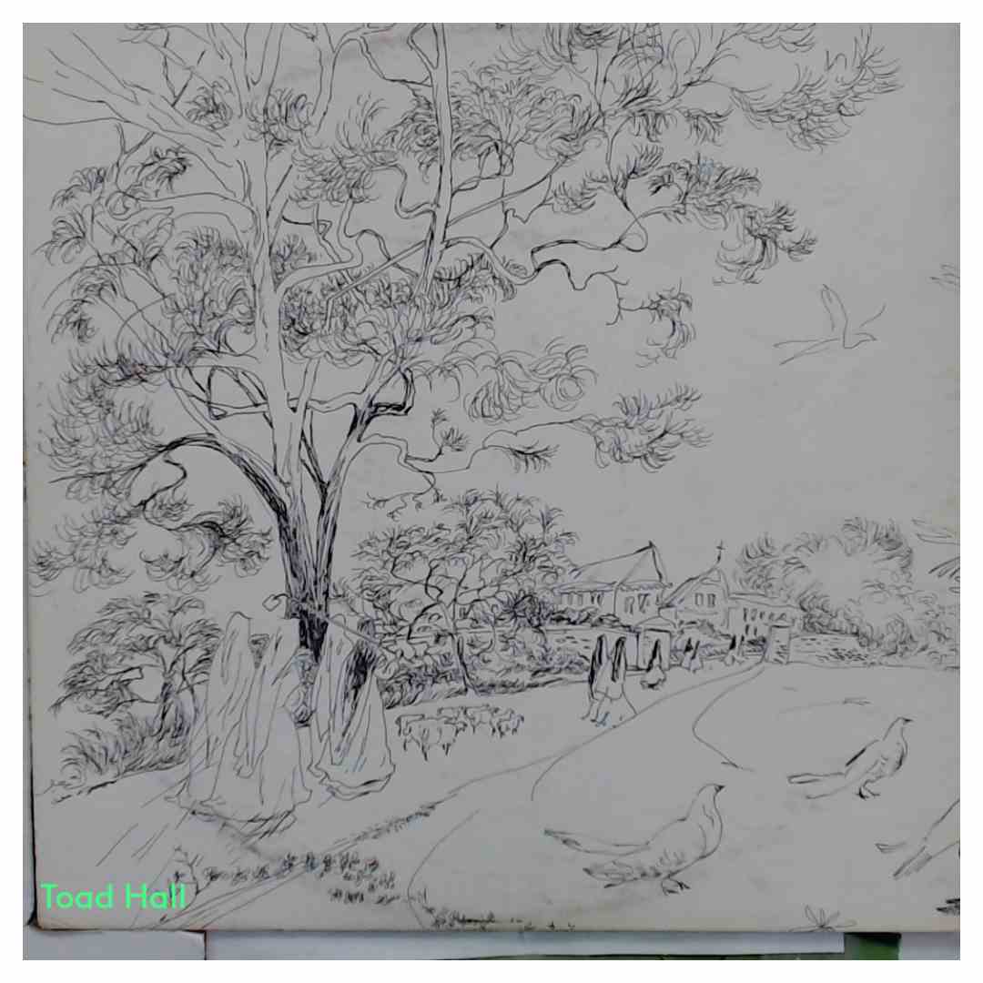 Soeur Sourire -The Singing Nun - Used Vinyl