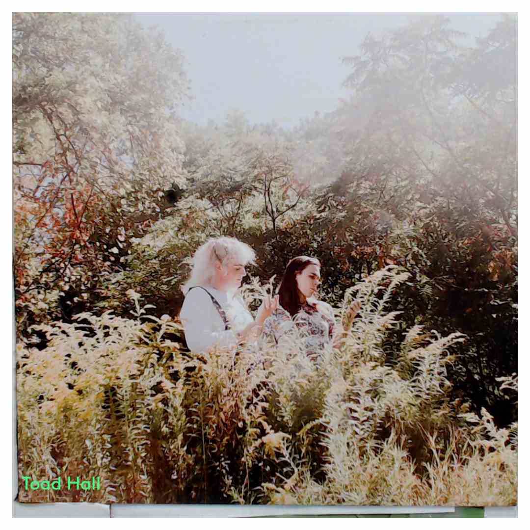 Space Camp - Overjoyed By This World (Lavendar Vinyl) - Used Vinyl