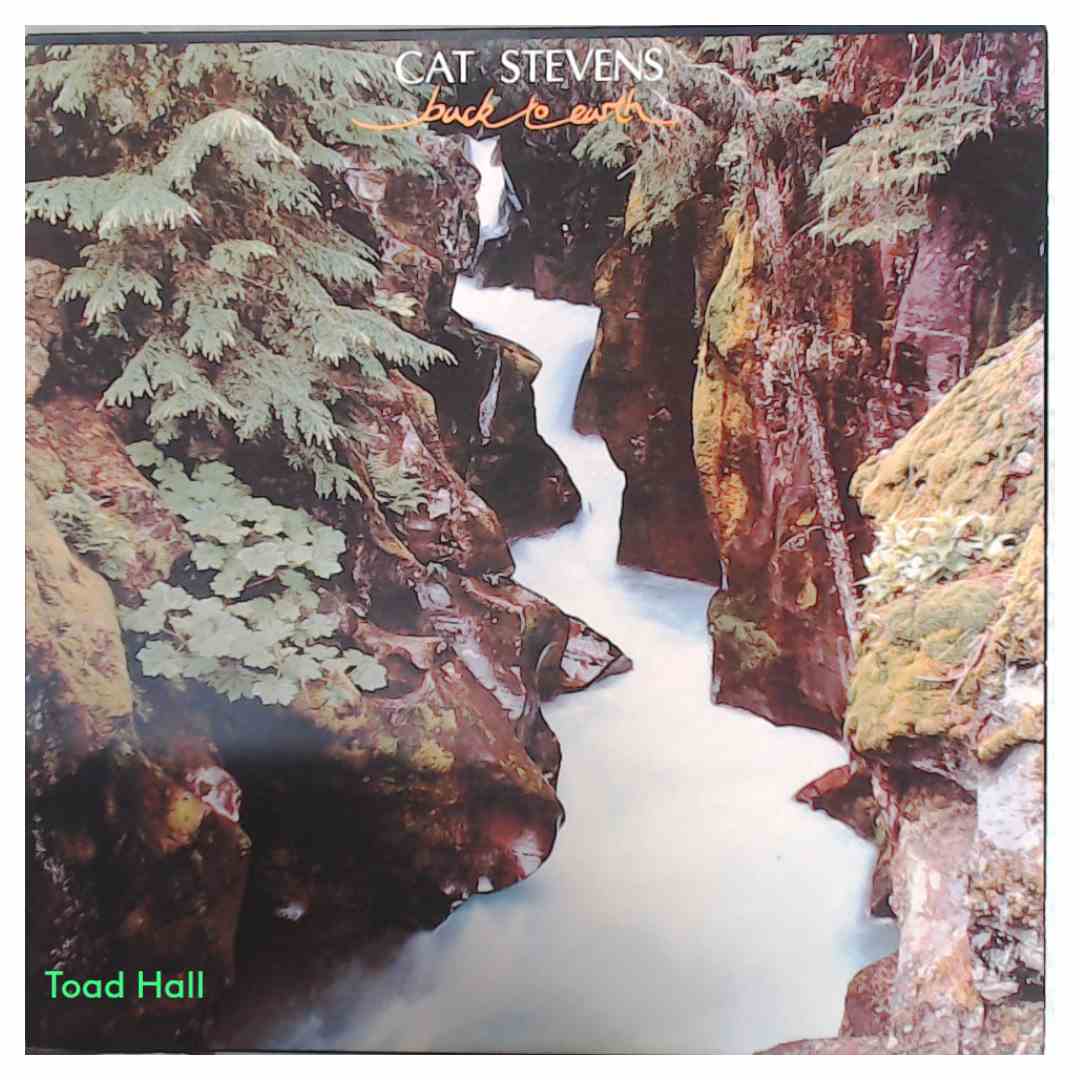 Cat Stevens - Back To Earth - Used Vinyl