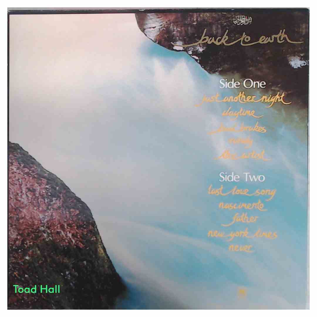 Cat Stevens - Back To Earth - Used Vinyl