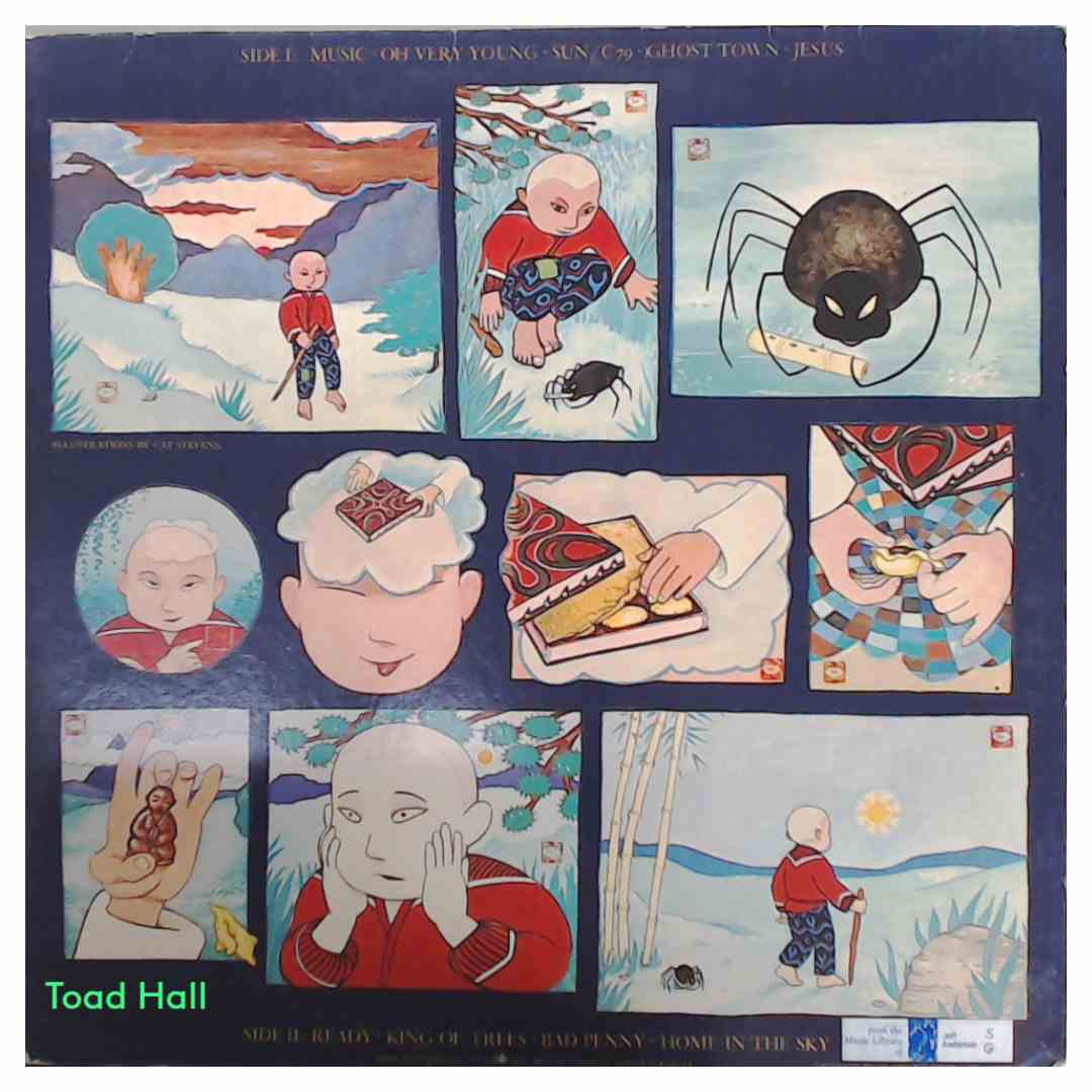 Cat Stevens Buddha And The Chocolate Box Used Vinyl LP