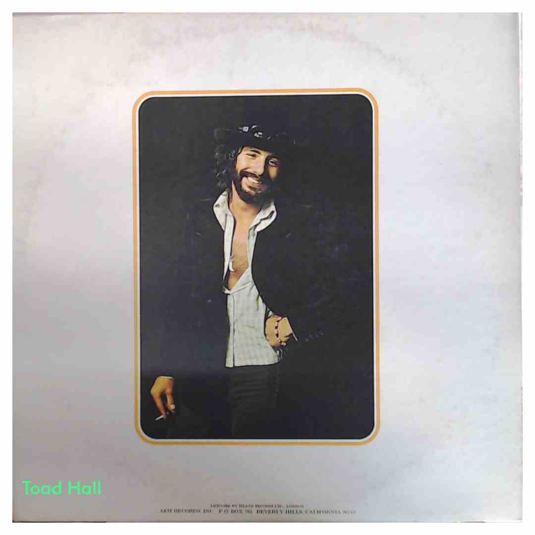 Cat Stevens - Catch Bull At Four - Used Vinyl LP