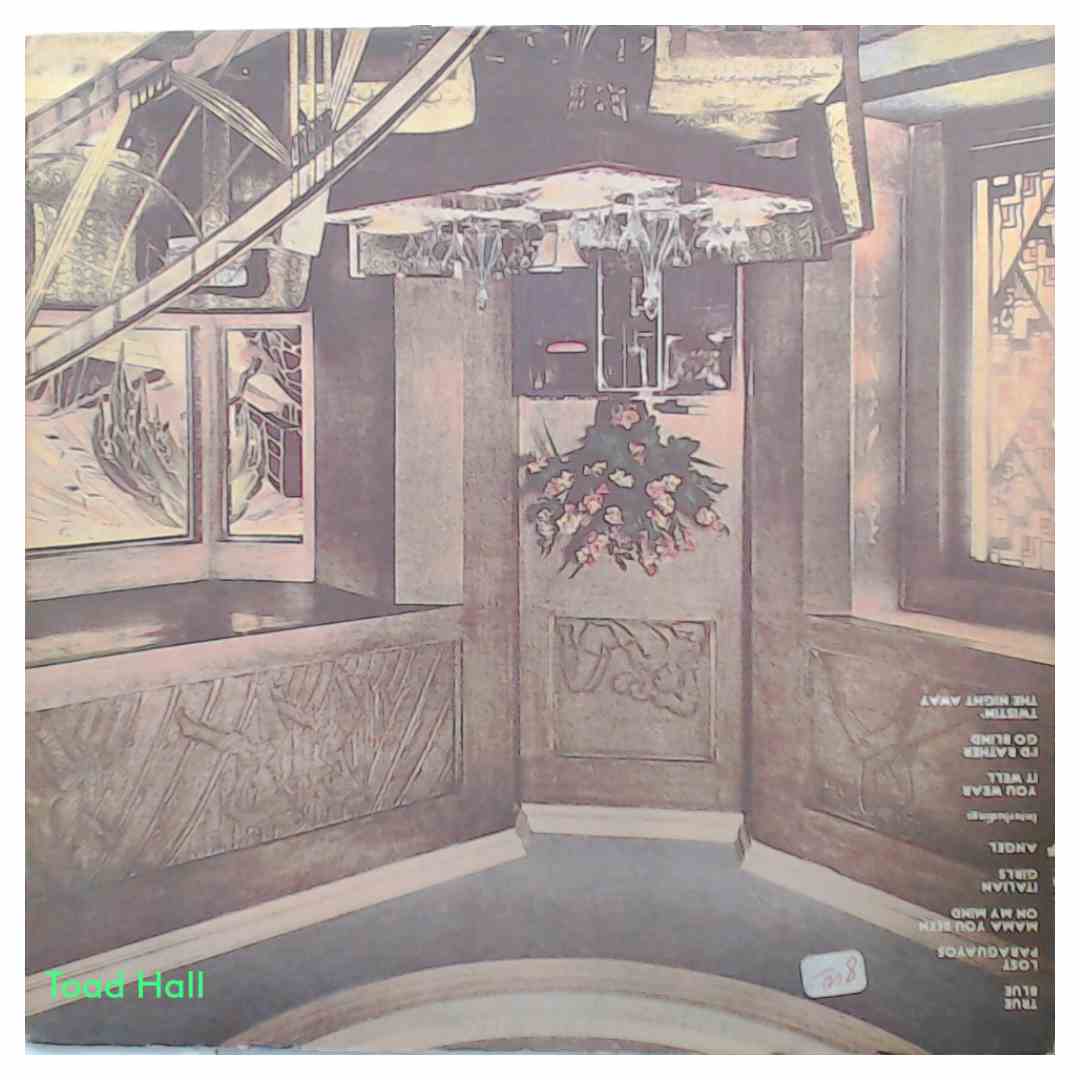 Rod Stewart - Never A Dull Moment - Used Vinyl LP