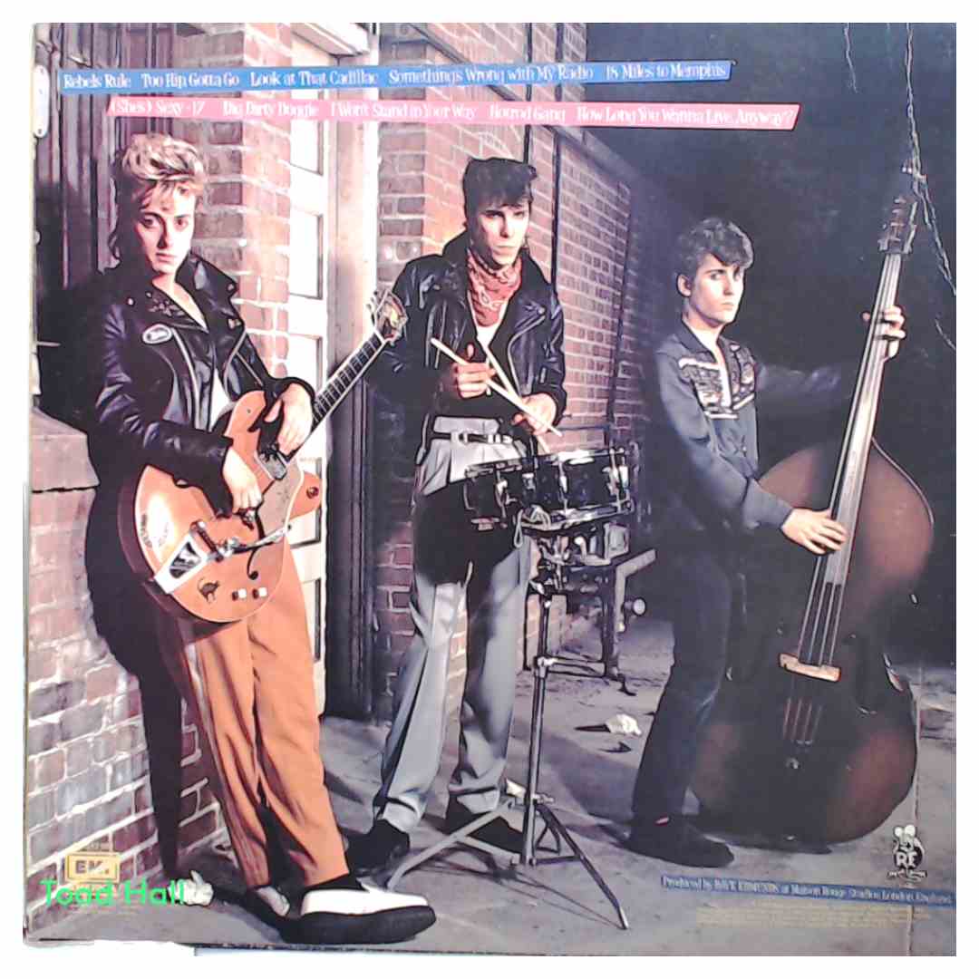 The Stray Cats Rant N Rave With The Stray Cats Used Vinyl LP