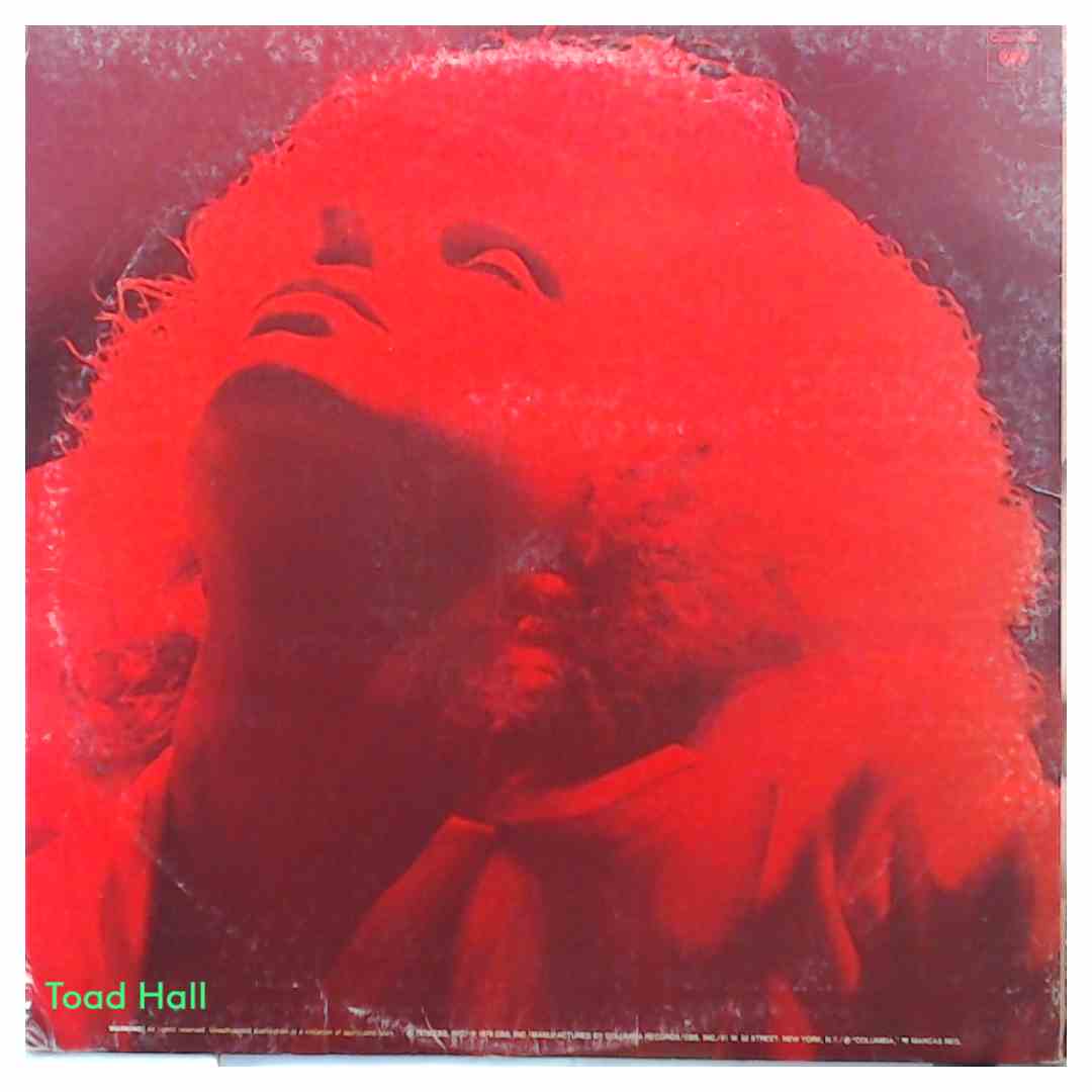Barbra Streisand and Kris Kristofferson - A Star Is Born - Used Vinyl LP