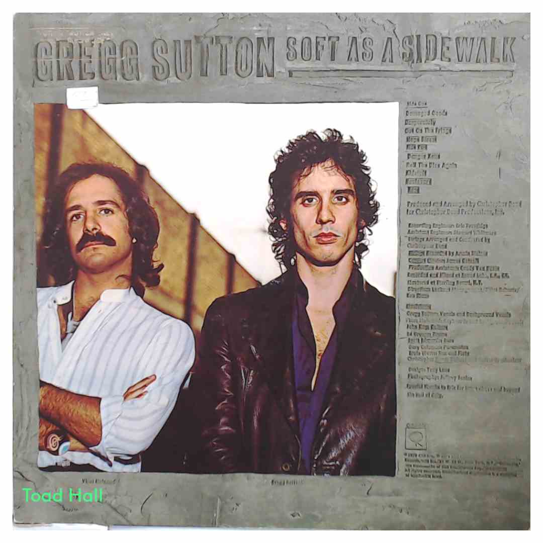 Gregg Sutton - Soft As A Sidewalk (Promo) - Used Vinyl LP