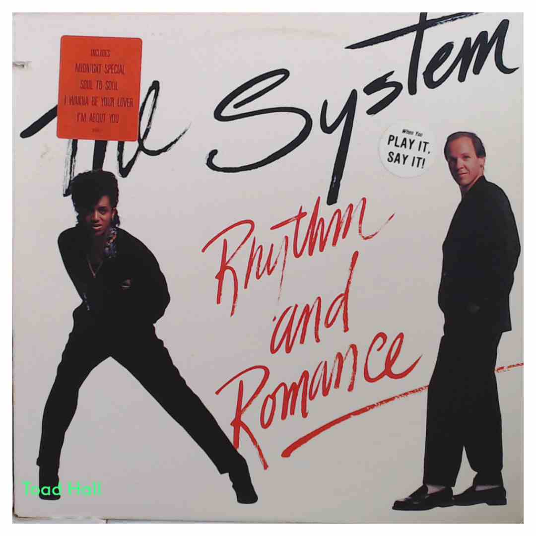 The System - Rhythm And Romance (Promo Cover) - Used Vinyl LP