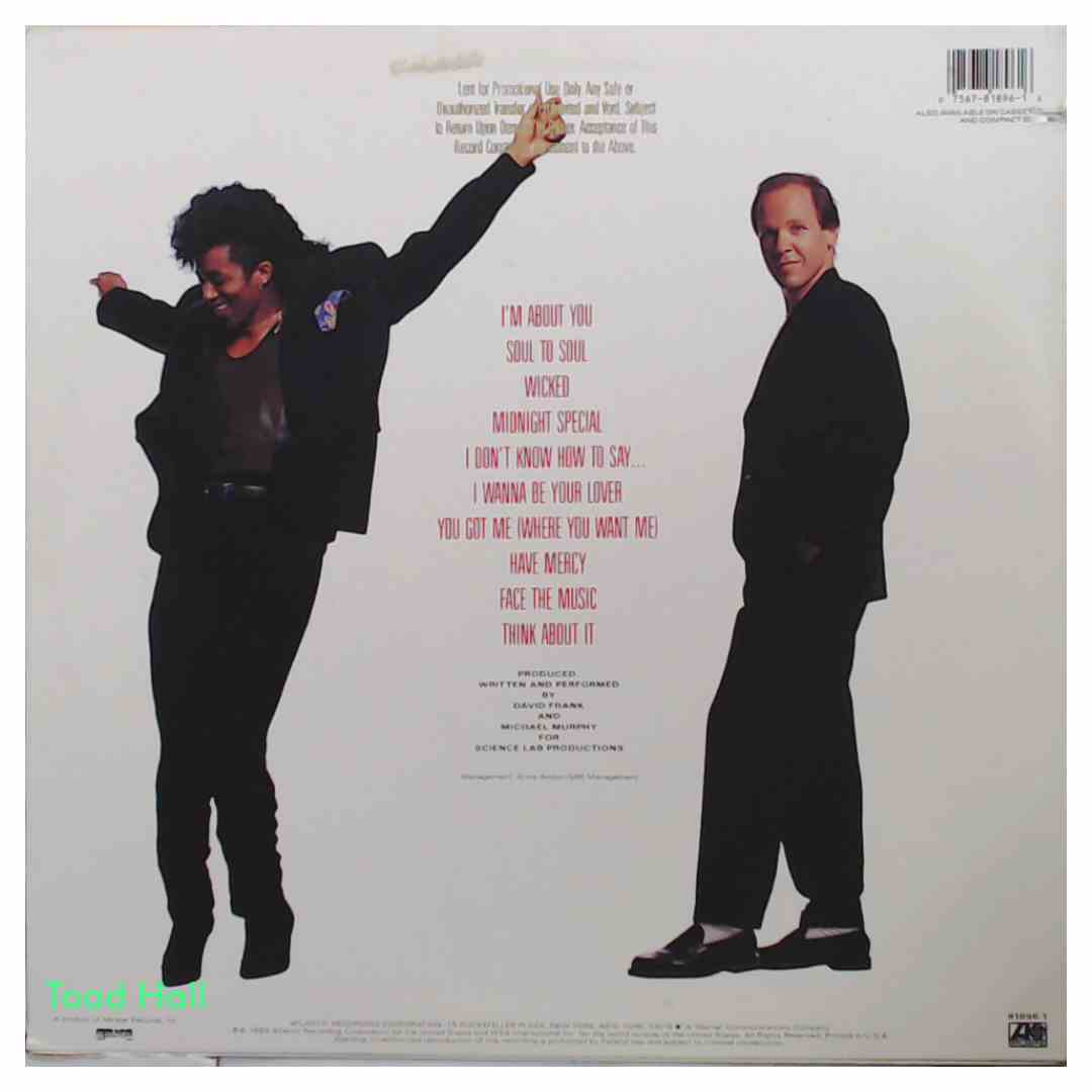 The System - Rhythm And Romance (Promo Cover) - Used Vinyl LP