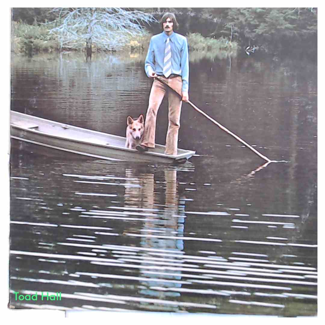 JAMES TAYLOR One Man Dog Used Vinyl LP