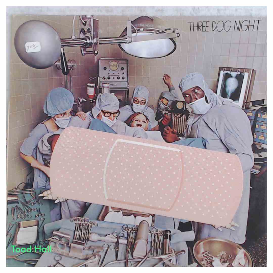 THREE DOG NIGHT Hard Labor Used Vinyl LP