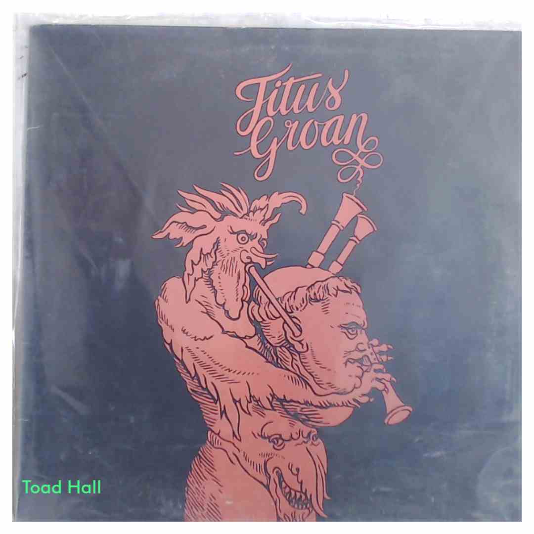 TITUS GROAN Self Titled Used Vinyl LP