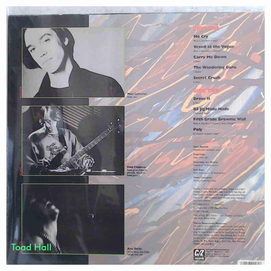 TONE DOGS Ankety Low Day Transparent Green Used Vinyl LP