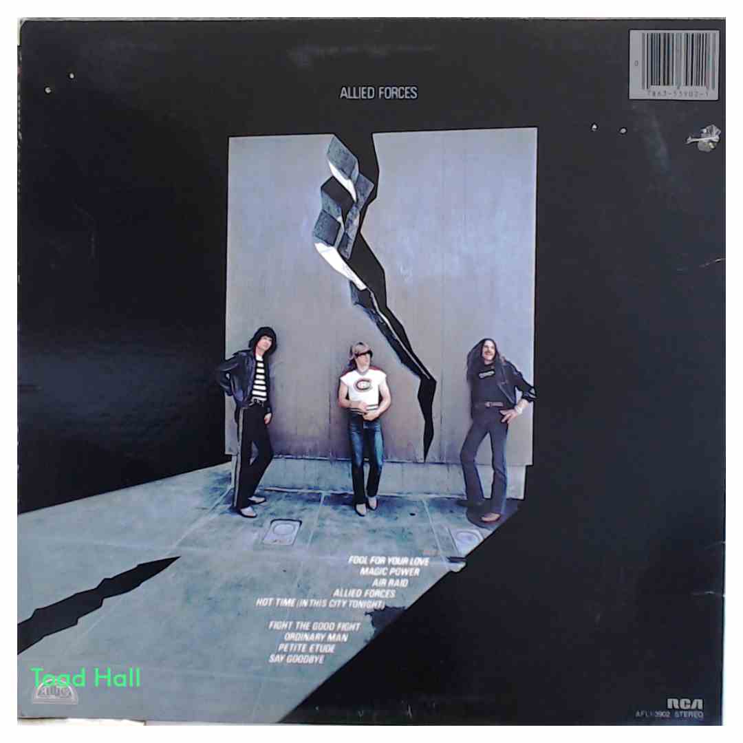 TRIUMPH Allied Forces Used Vinyl LP