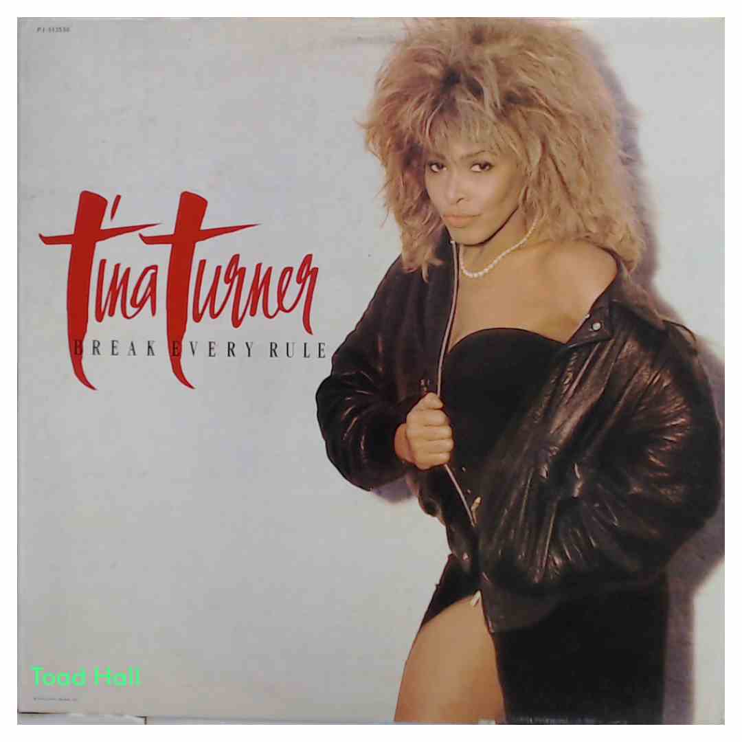 TINA TURNER Break Every Rule Used Vinyl LP