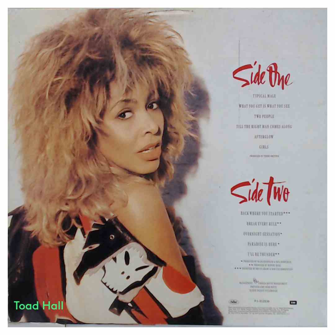 TINA TURNER Break Every Rule Used Vinyl LP