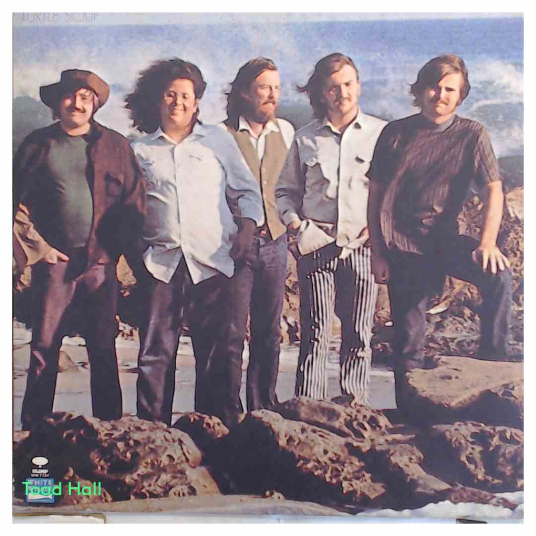 THE TURTLES Turtle Soup Used Vinyl LP