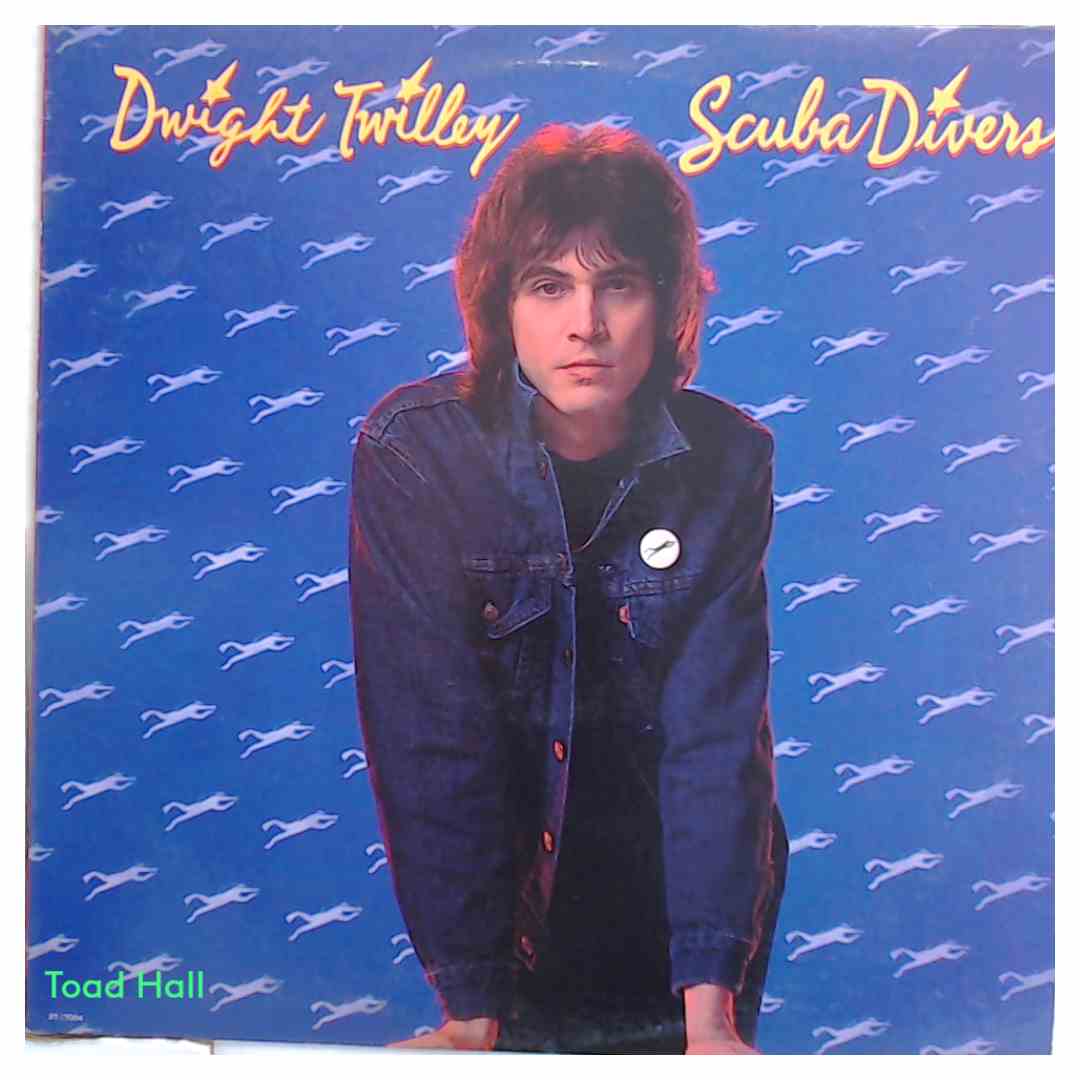 DWIGHT TWILLEY Scuba Divers Used Vinyl LP