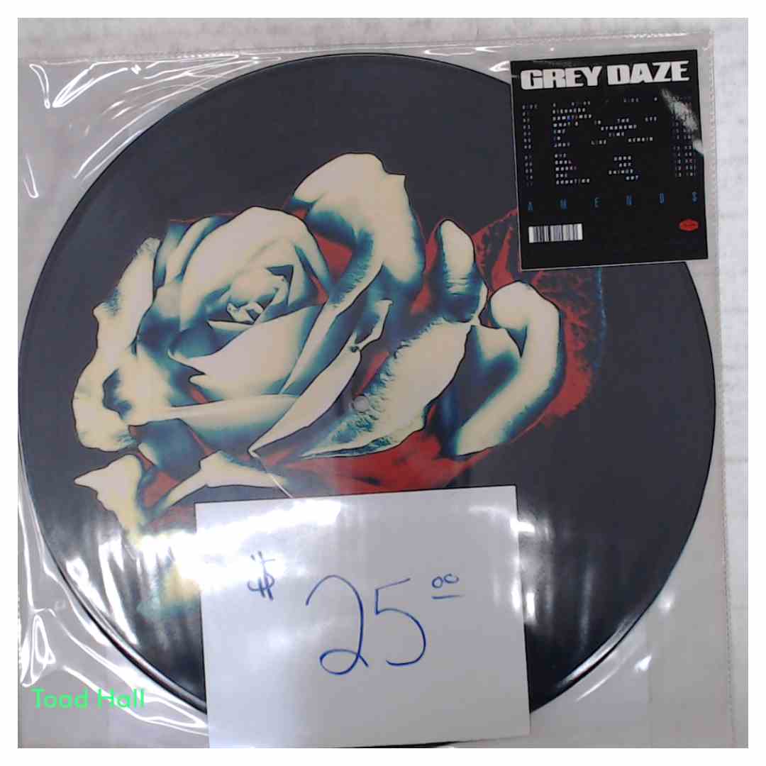 GREY DAZE Amends Picture Disc Used Vinyl LP