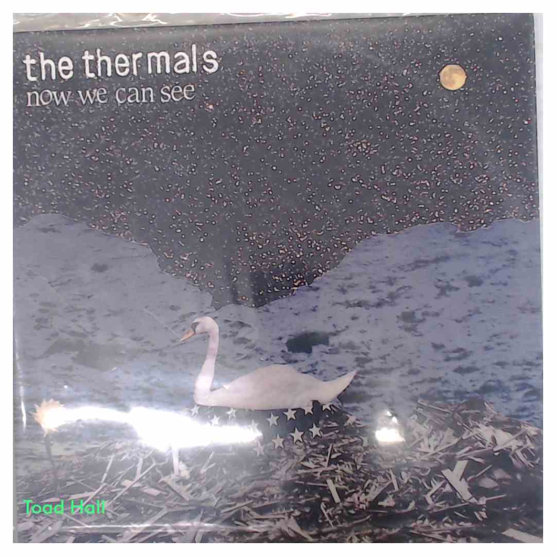 THE THERMALS Now We Can See Used Vinyl LP