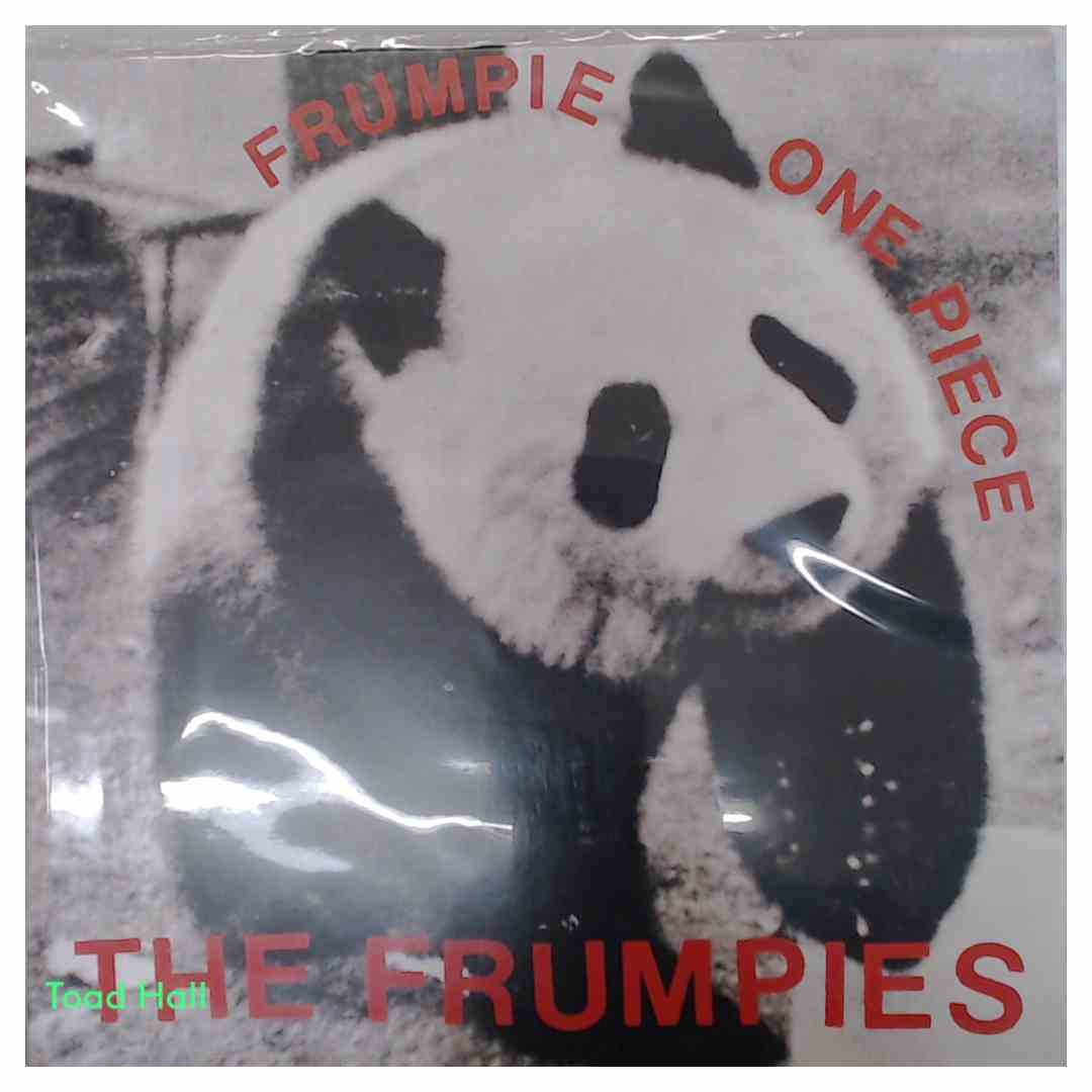 THE FRUMPIES Frumpie One-Piece Used Vinyl LP