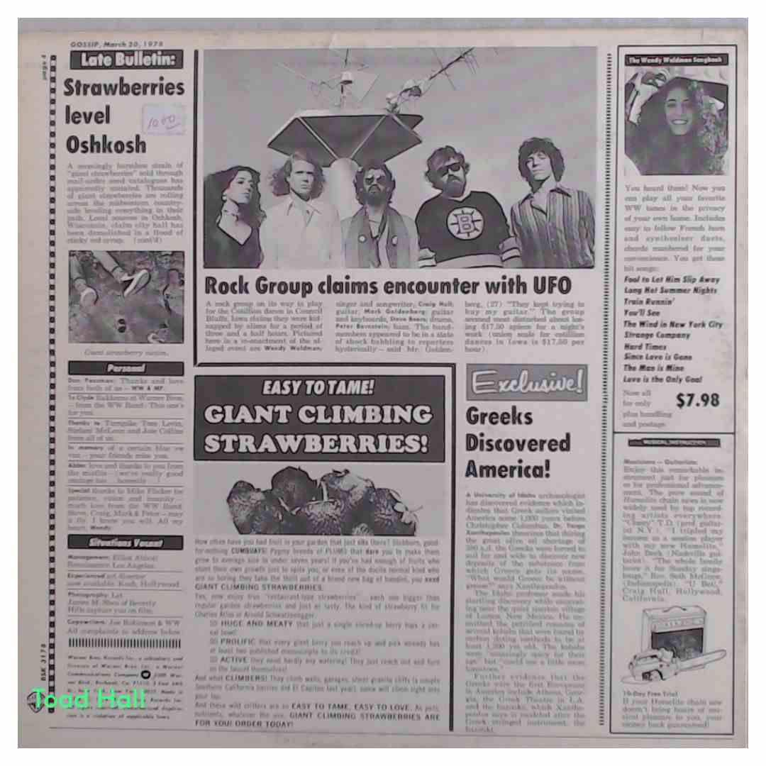 WENDY WALDMAN Strange Company Used Vinyl LP